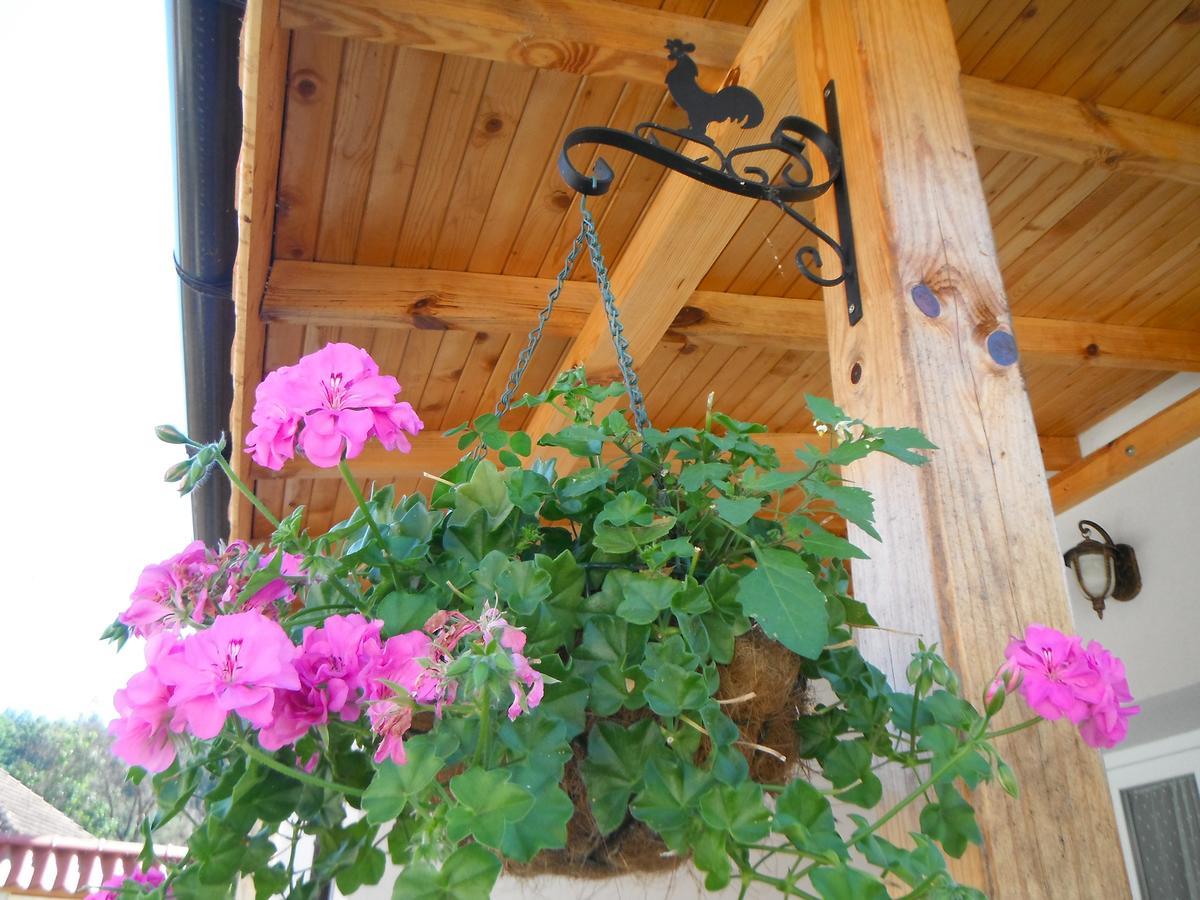 Villa Ani Gorna Kovachitsa Luaran gambar